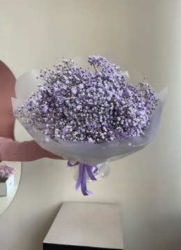 Букет Из Гипсофилы Фиолетовый 