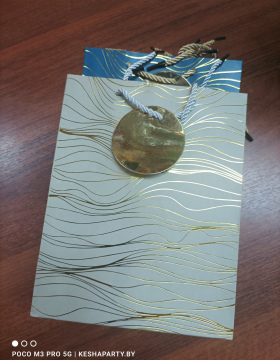 Пакет 18*23*10
