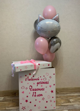 Шарики в Коробке № 204