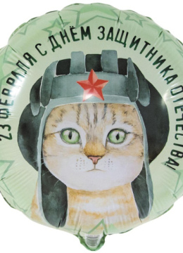 23 ФЕВРАЛЯ Кот в шлемофоне