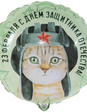 23 ФЕВРАЛЯ Кот в шлемофоне