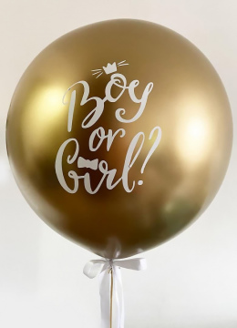 Гендер-Пати Шар № 2