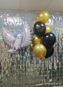 Шарики На ДР № 286